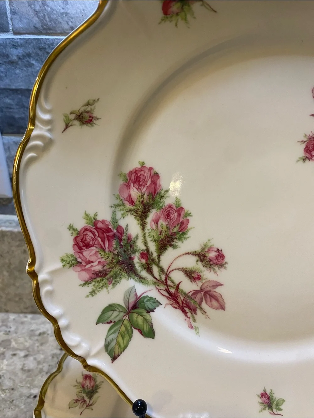 EDELSTEIN MARIA THERESIA MOSS ROSE Set Of 6 Dinner Plates SCALLOP~GOLD TRIM - Picture 3 of 5